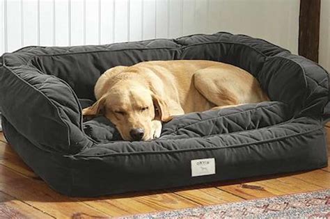 Sleep like a Giant: Top 10 Dog Beds for Your Big Best Friend - Furry Folly