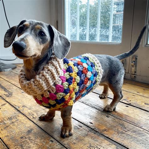 Best free crochet dog sweater patterns – Artofit