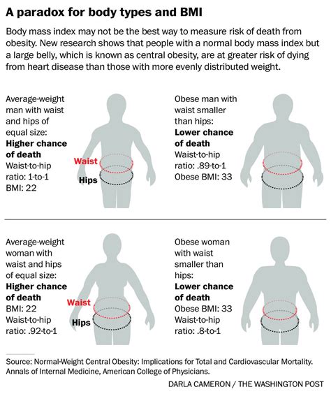 Chest Hip Waist Ratio at Johnnie Allison blog