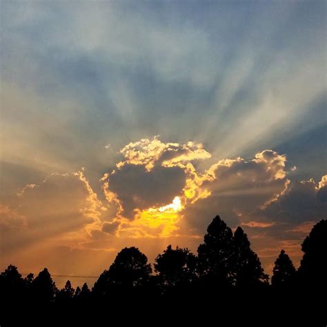 Coconino County, Flagstaff Shelter Services organize hotel for homeless ...