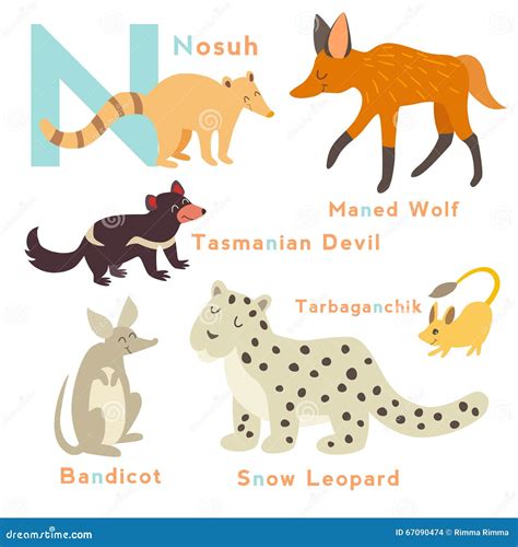 N Letter Animals Set. English Alphabet Stock Illustration ...