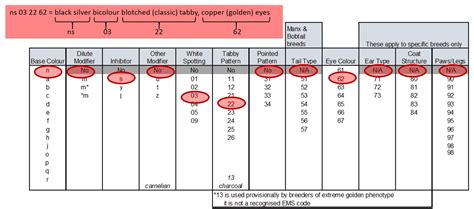 Image result for EMS Code