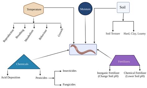 Earthworms Effect on Microbial Population and Soil Fertility as Well as ...