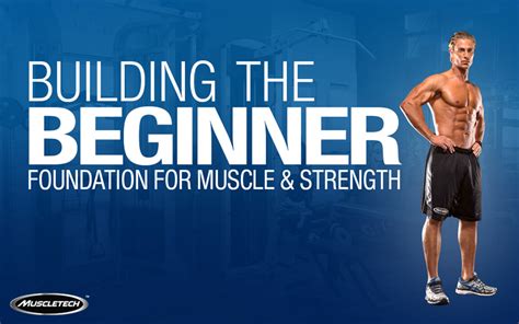 Exercise Behinner 的图像结果