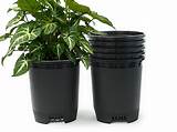 Amazon.com: 3 Gallon Nursery Pot Plastic Planters for Outdoor Indoor ...