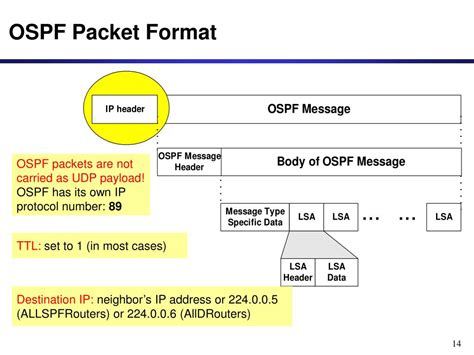 Image result for Ospf Header Format Example Step by Step