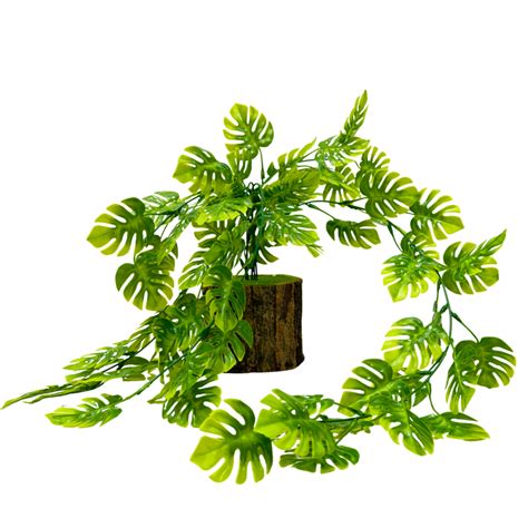 Christmas Collection Special