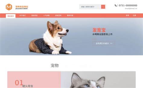 宠物饲养响应式网站模板-米拓建站网站模板