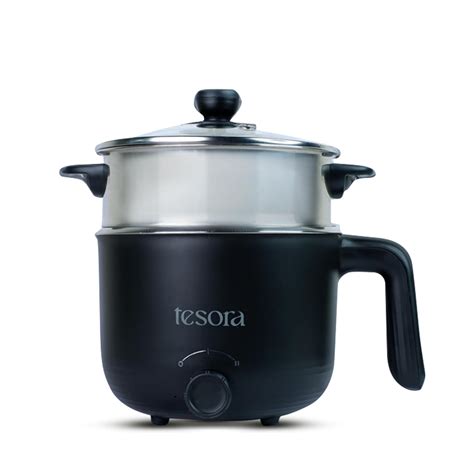 Tesora Portable Multi Cook Electric Kettle with Steamer, 3 in 1 Kettle ...