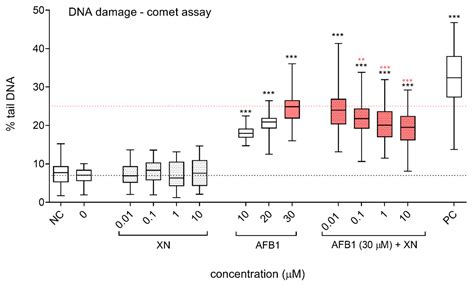Chemoprotective Effects of Xanthohumol against the Carcinogenic ...