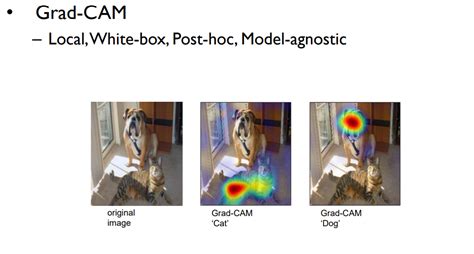 Xai Method Icon 的图像结果