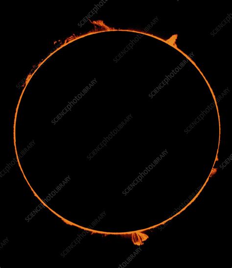 Image result for What Is a Solar Prominence