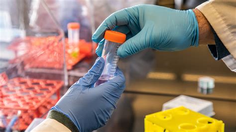 Image result for Java Research