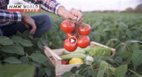 Farm-To-Table 的图像结果