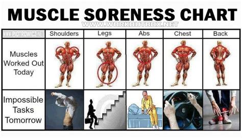 Muscle Soreness Chart - That Feeling After A Great Workout! Legs | What ...