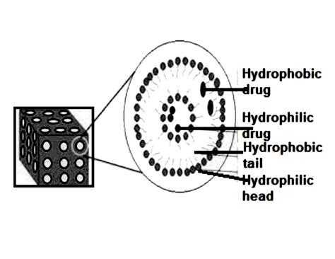 Fig. 2 : Structure of cubosomes [17]