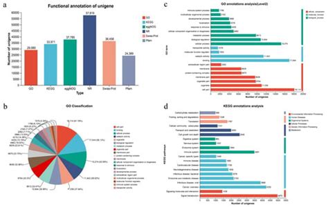 Veterinary Sciences | An Open Access Journal from MDPI
