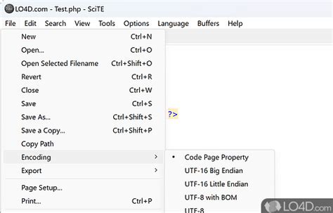 Image result for SciTE Editor-in HTML Program