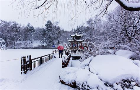 冬天雪景摄影图__自然风景_自然景观_摄影图库_昵图网nipic.com