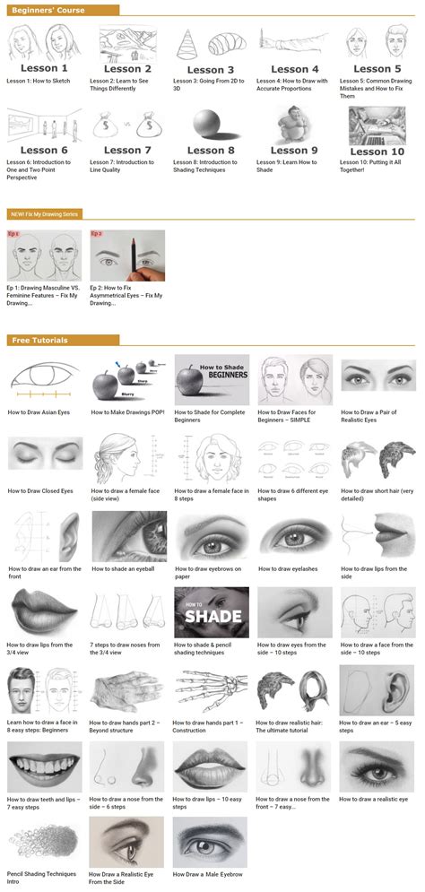 Free PDF Tutorial 的图像结果