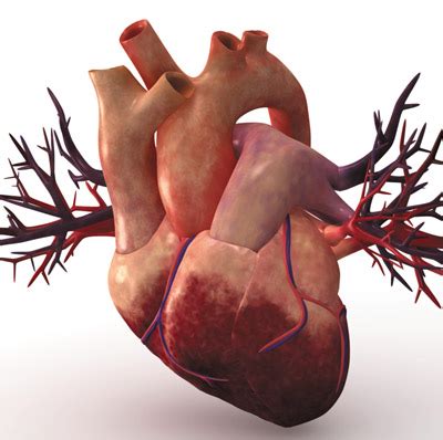 Image result for Heart with Name Using Python