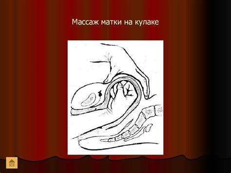 Гинекологический массаж матки: этапы проведения, показания и ...