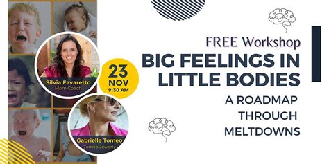Big Feelings in Little Bodies — A Roadmap Through Meltdowns, 23 ...