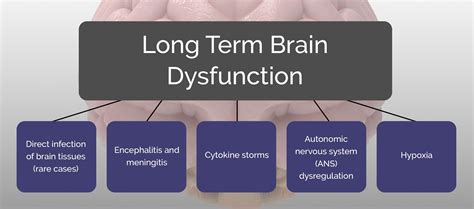 Long-Term Effects of COVID-19 on the Brain | CognitiveFX