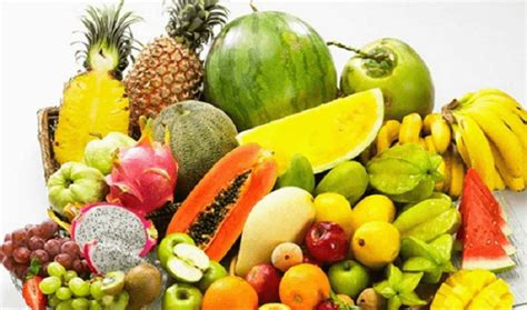7 Plant-based Protein Sources for Vegetarians | FITPASS