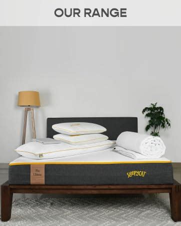 SleepyCat Original Ortho 3-Layered Medium Firm 6-inch Memory Foam ...