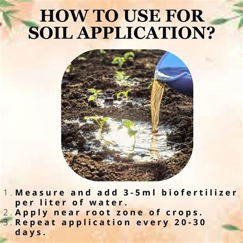 POTASSIUM BIOFERTILIZER - POTASSIUM MOLIBILIZING BACTERIA -ORGANIC FER ...