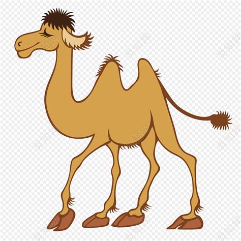 小骆驼与小棕马 - 益智故事 - 故事365