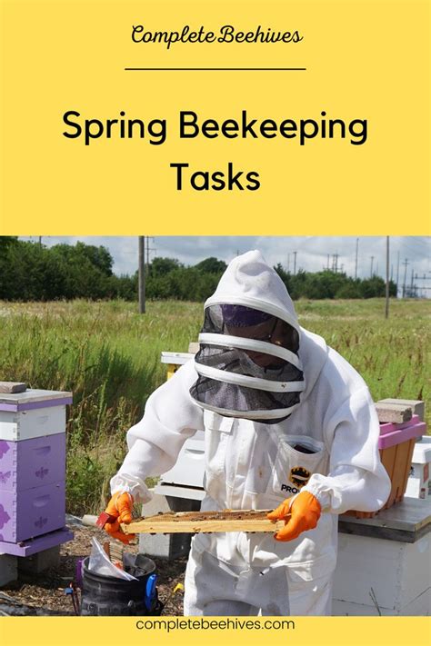 Image result for Spring Beekeeping