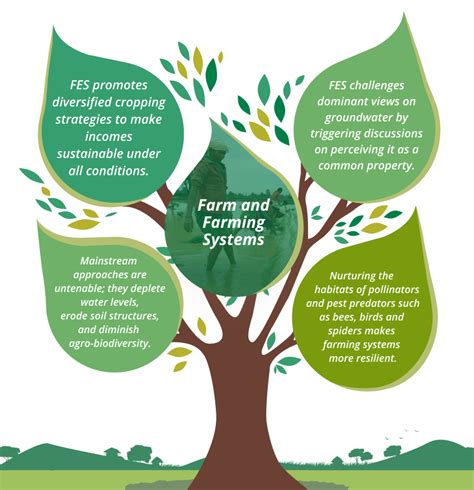 FES | Foundation for Ecological Security