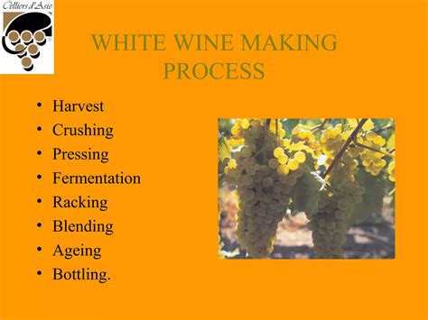 Wine Making Process 的图像结果