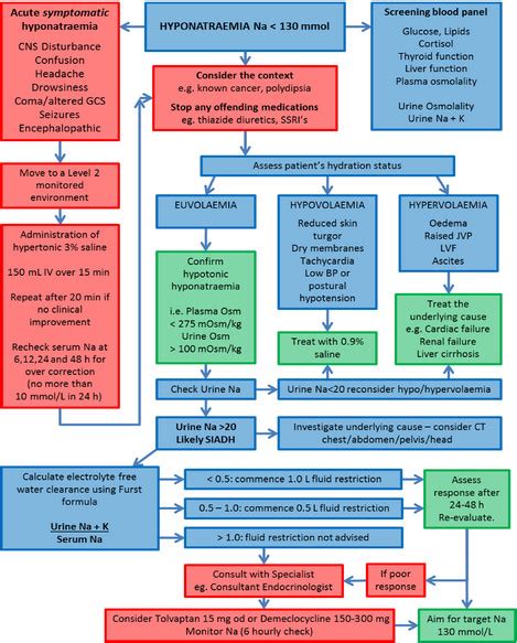 Hyponatremia Algorithm 的图像结果