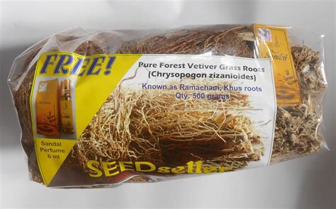 SEEDseller Chrysopogon Zizanioides Vetiver Grass Roots Ramacham, 500g ...