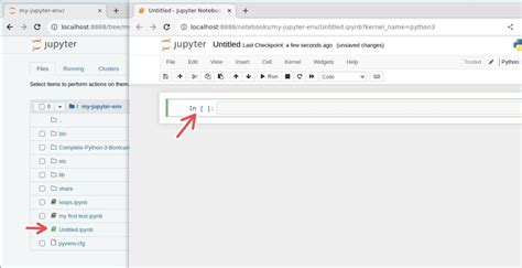 Image result for Jupyter IPython Notebook Containing NPP