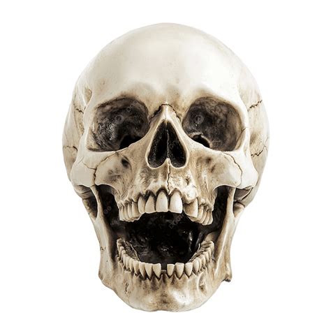 Spooky Skull With Open Mouth For Halloween Celebrations, Skull, Open ...