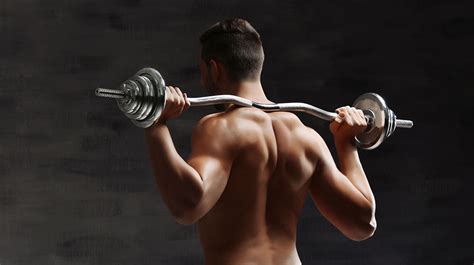 Image result for How to Develop Back Muscles