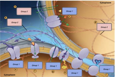 Process Body 的图像结果