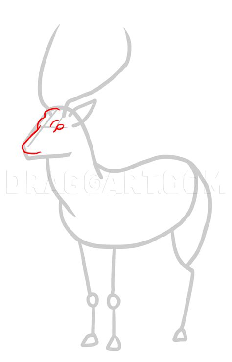 Deer Drawing Tutorial 的图像结果