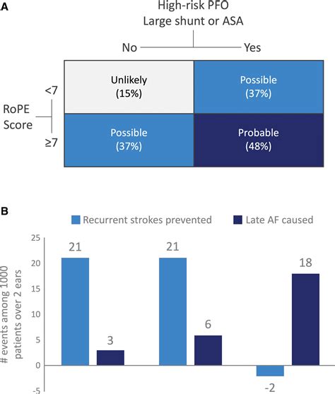PFO Defect 的图像结果