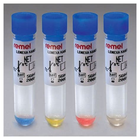 Image result for Net Net Test Example