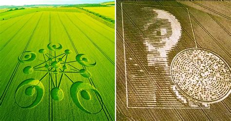 Image result for Decoding Crop Circles