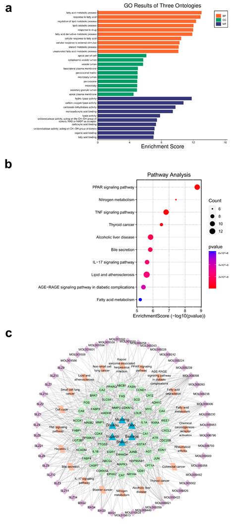 Potential Mechanism of Tibetan Medicine Liuwei Muxiang Pills against ...