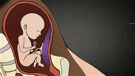 图解可怕的堕胎过程 四种堕胎方法 胎儿一步步被杀死_坏男人网