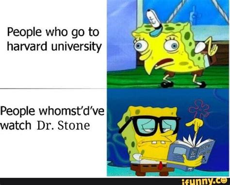 People who go to « harvard university People whomst'd've watch Dr ...