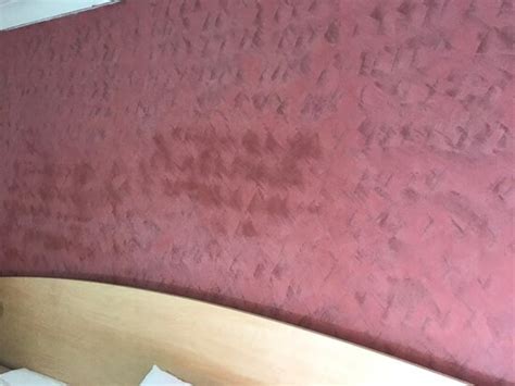 COUNTRY PLAZA MOTEL TAREE - Motel Reviews, Photos, Rate Comparison ...