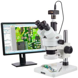 Image result for Using a Dissecting Microscope